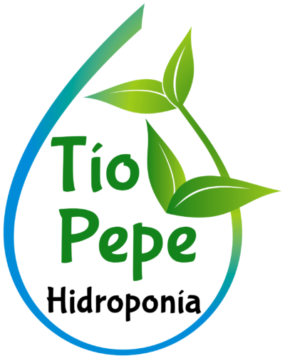 Lechugas Hidropónicas